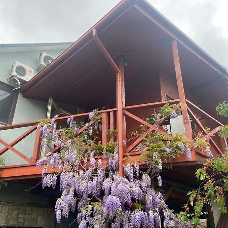 Fkoka Bed & Breakfast Berehove  Luaran gambar