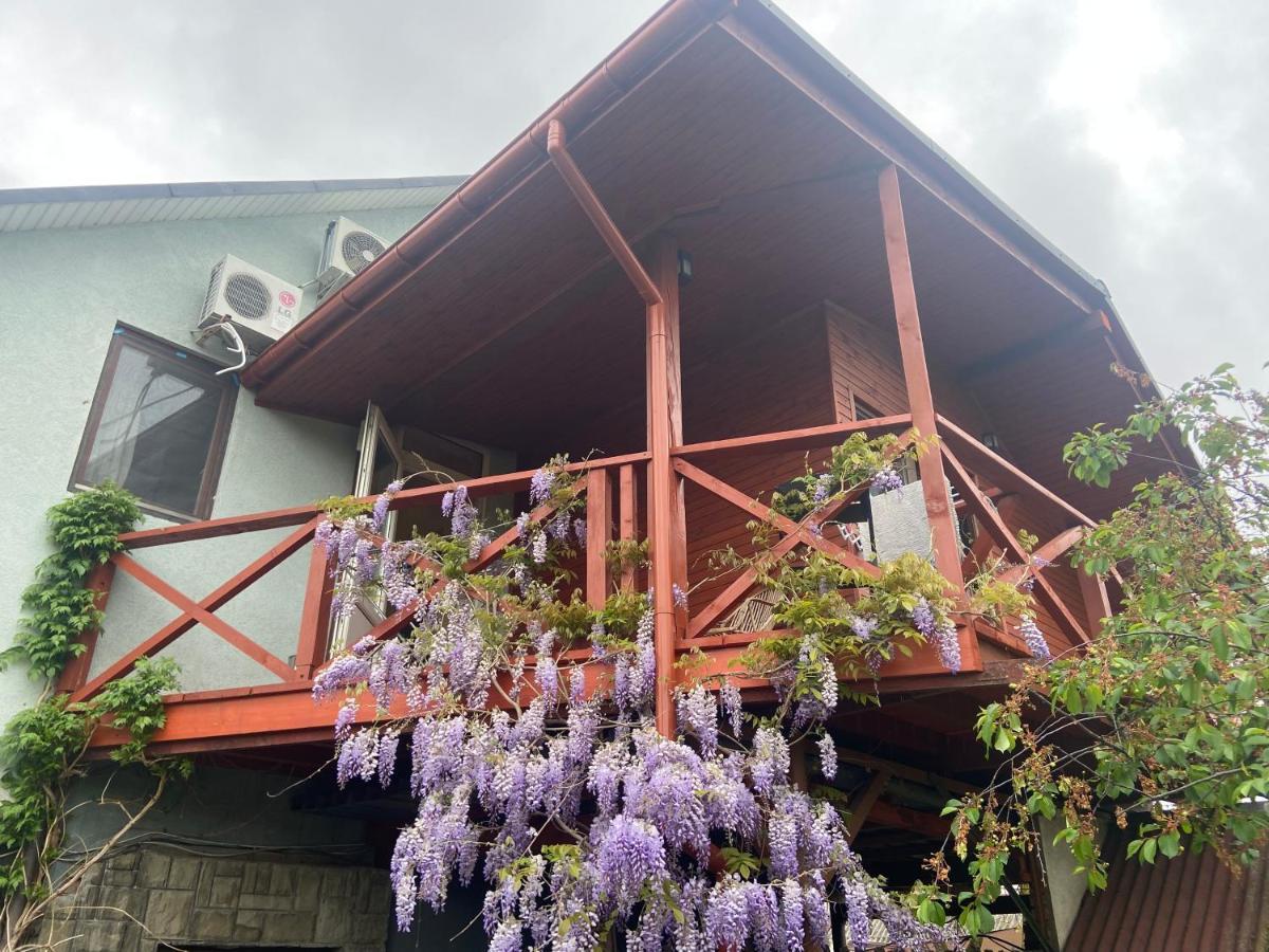 Fkoka Bed & Breakfast Berehove  Luaran gambar