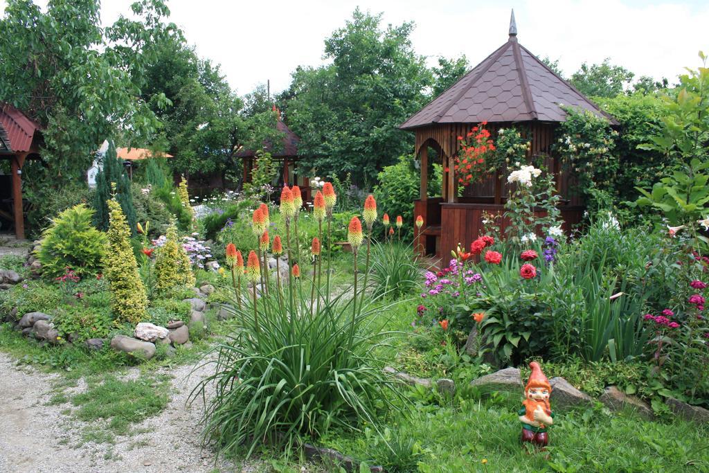 Fkoka Bed & Breakfast Berehove  Luaran gambar