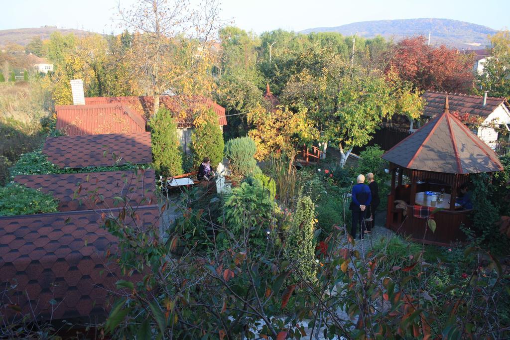Fkoka Bed & Breakfast Berehove  Luaran gambar