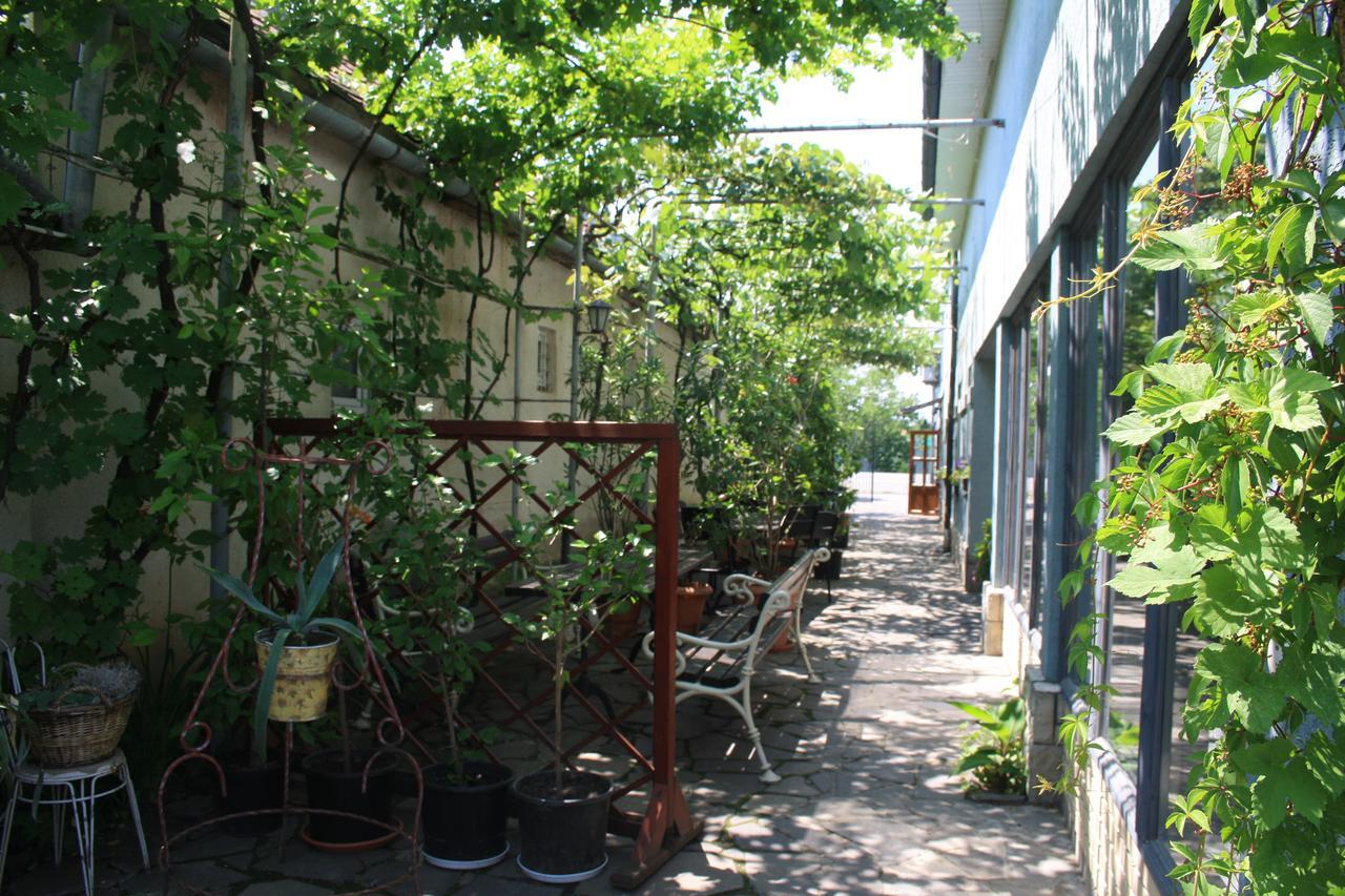 Fkoka Bed & Breakfast Berehove  Luaran gambar